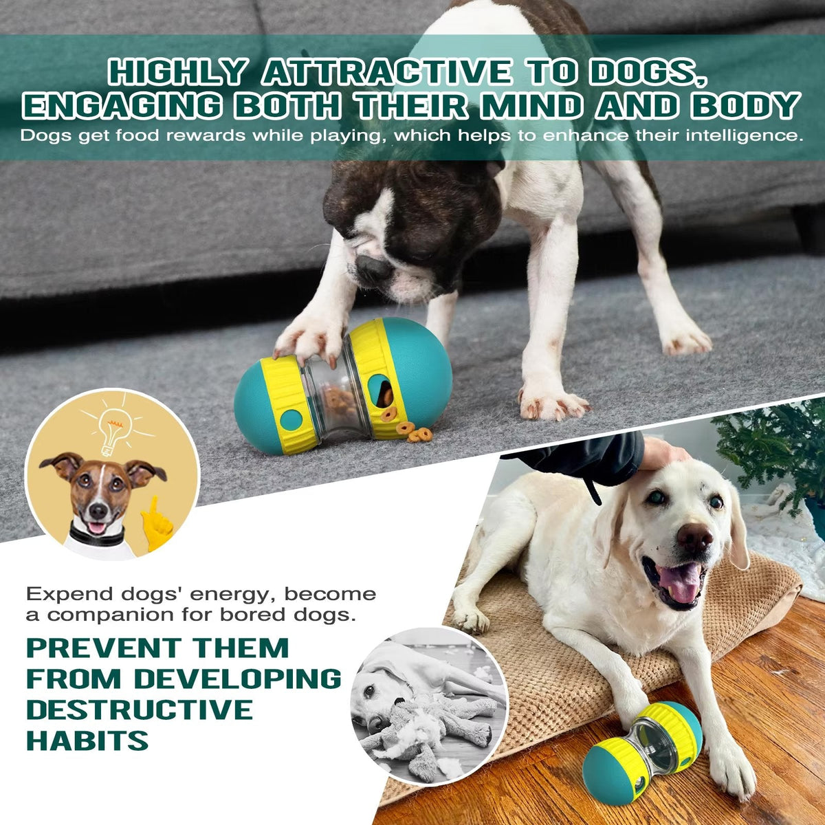 Oval Slow Feeder & Treat Dispenser Toy for Dogs & Cats