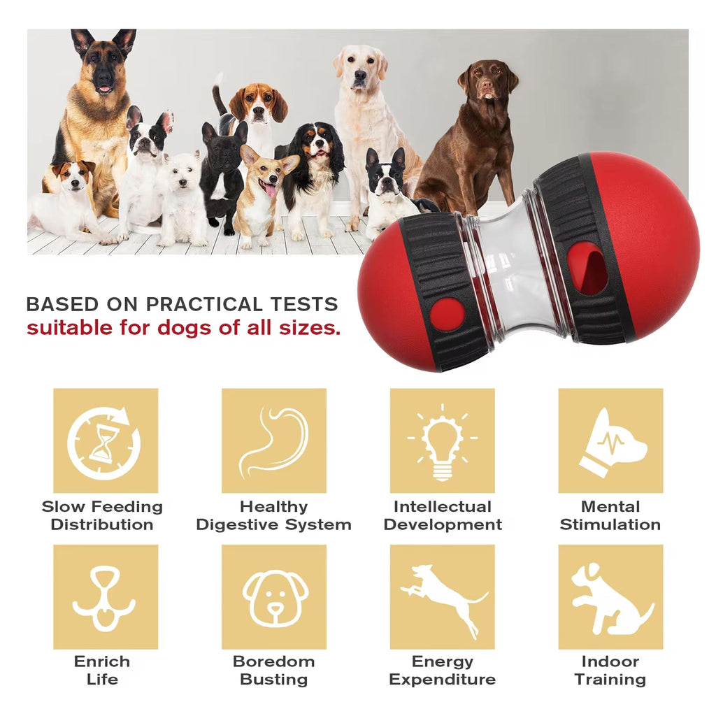 Oval Slow Feeder & Treat Dispenser Toy for Dogs & Cats
