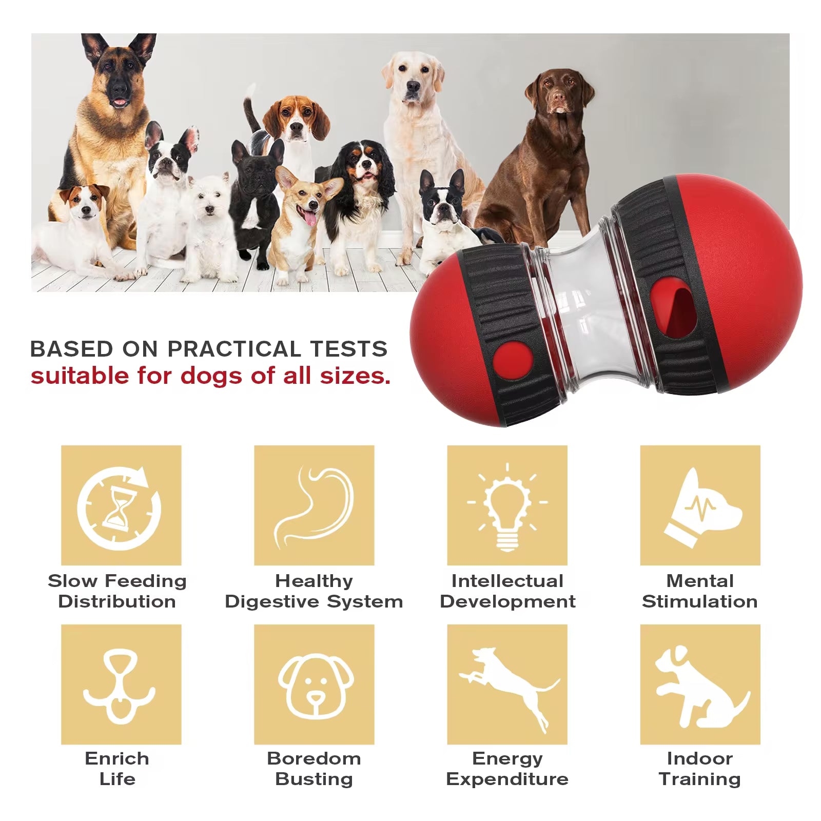Oval Slow Feeder & Treat Dispenser Toy for Dogs & Cats