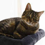 Hut Hideout - Deluxe 3-Level Cat Tree