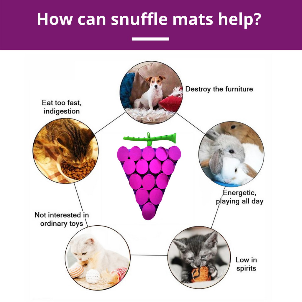 Forbidden Grapes™ Snuffle Mat