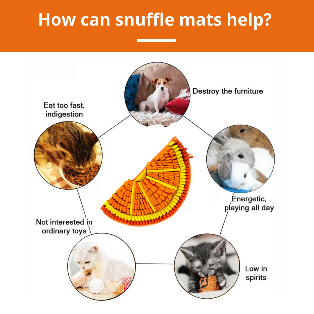 Tangy Orange™ Snuffle Mat