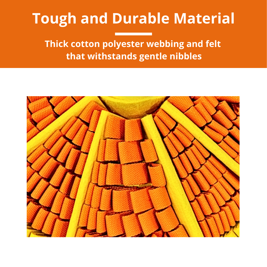 Tangy Orange™ Snuffle Mat