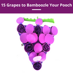 Forbidden Grapes™ Snuffle Mat