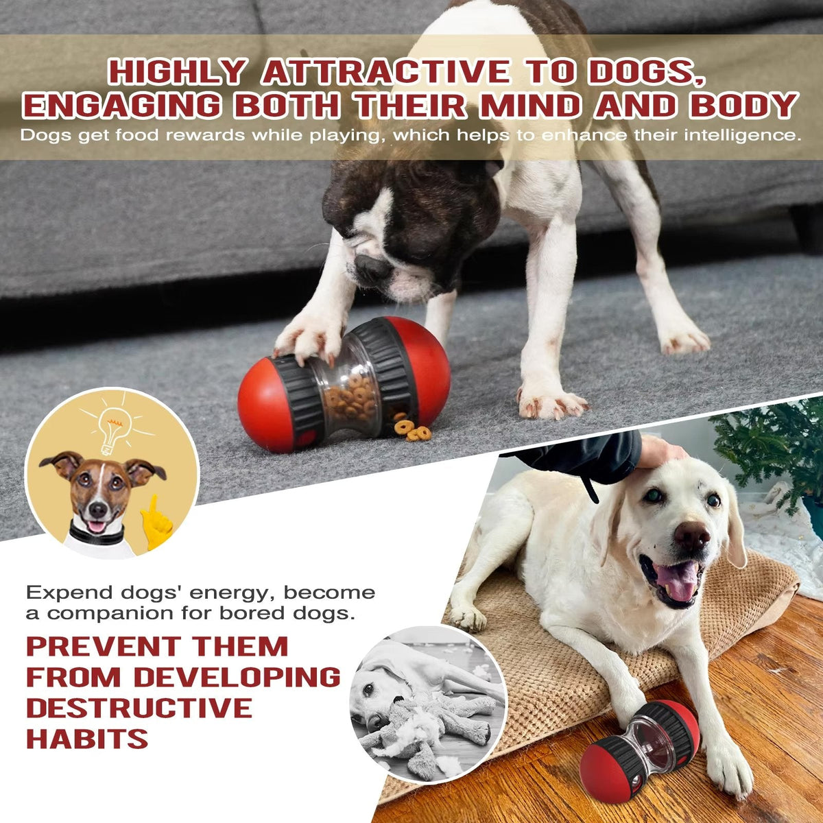 Oval Slow Feeder & Treat Dispenser Toy for Dogs & Cats