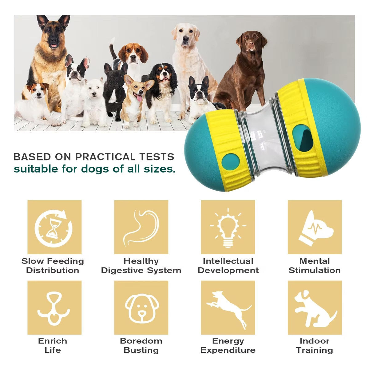 Oval Slow Feeder & Treat Dispenser Toy for Dogs & Cats