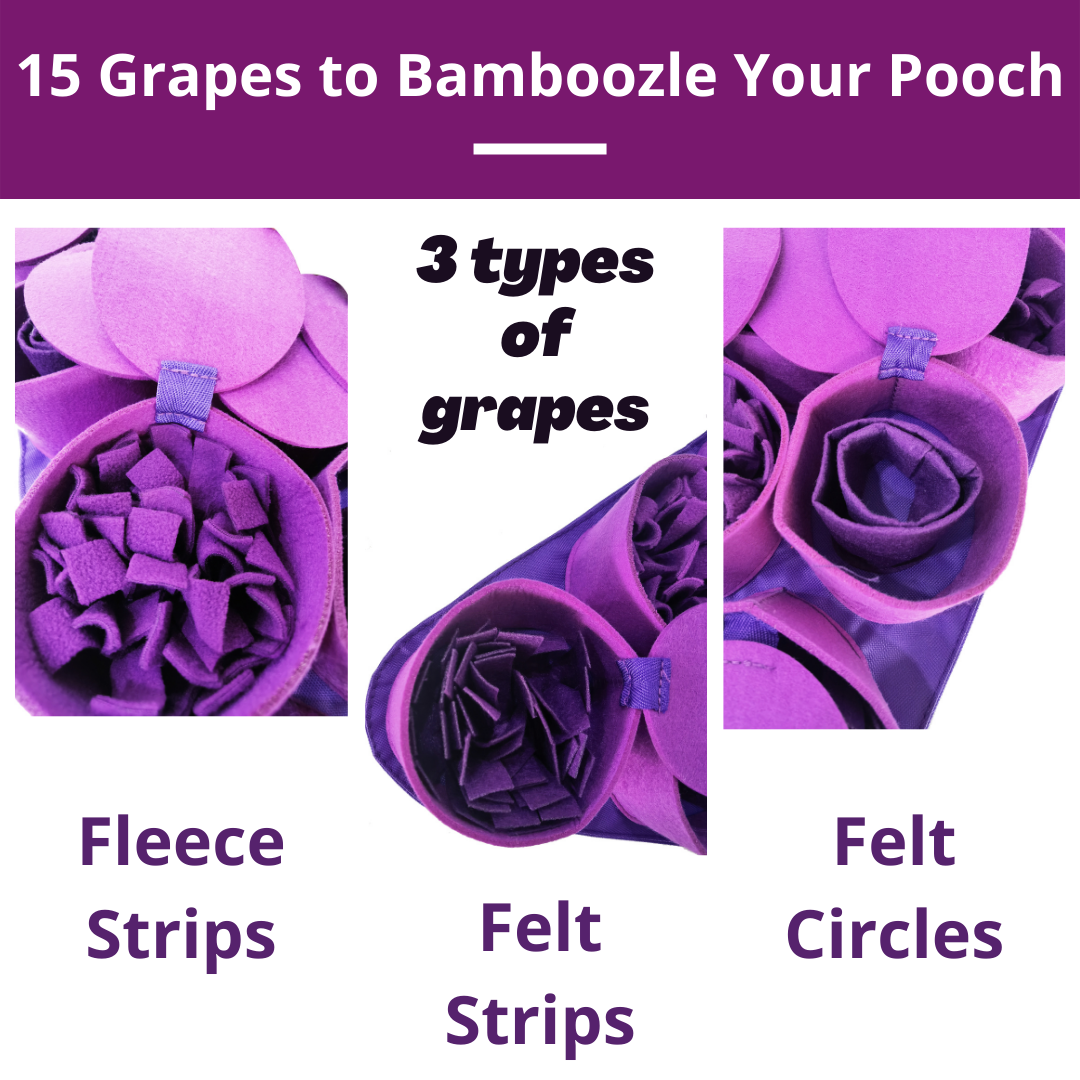 Forbidden Grapes™ Snuffle Mat
