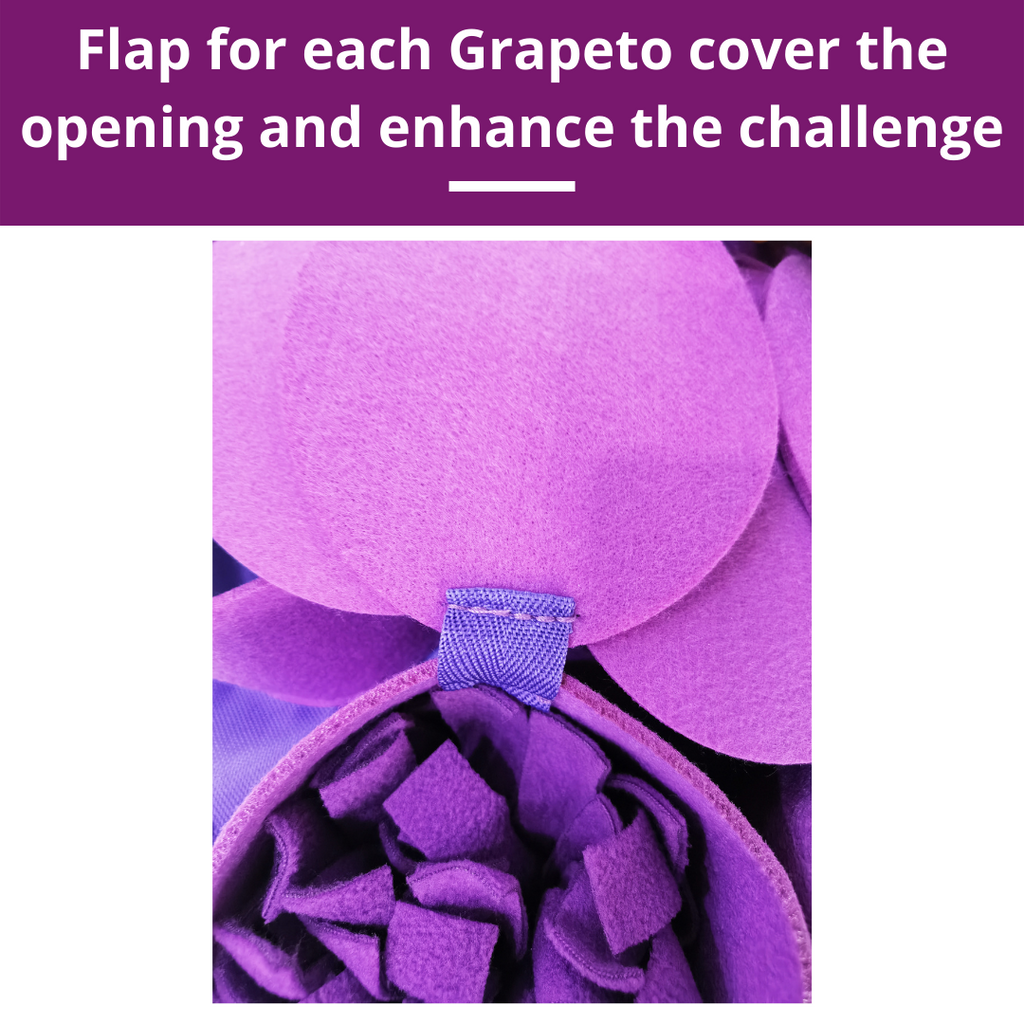 Forbidden Grapes™ Snuffle Mat