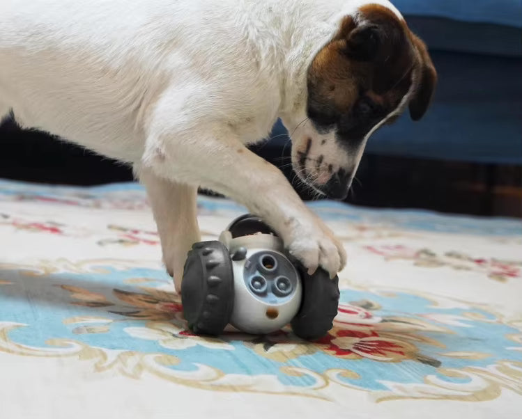 Robot Slow Feeder & Treat Dispenser Toy for Dogs & Cats