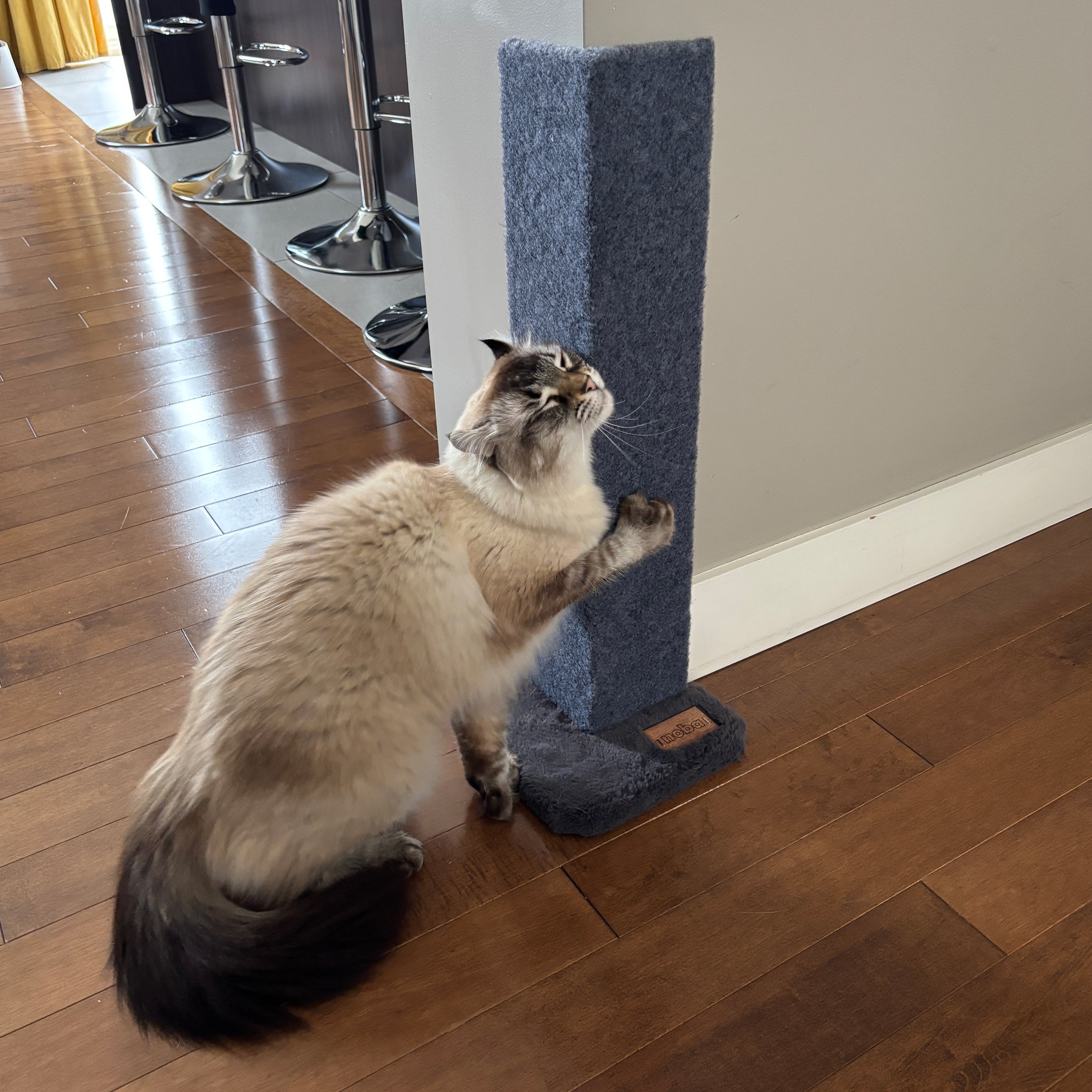 Noba Corner Cat Scratcher and Protector - 23 Inch