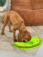 Zesty Lime™ Snuffle Mat