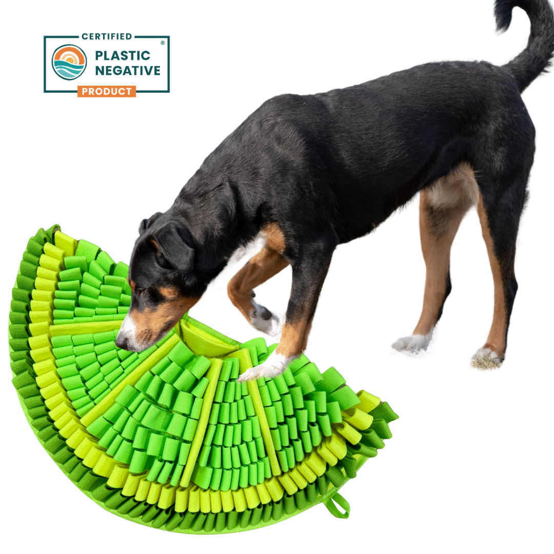 Zesty Lime™ Snuffle Mat