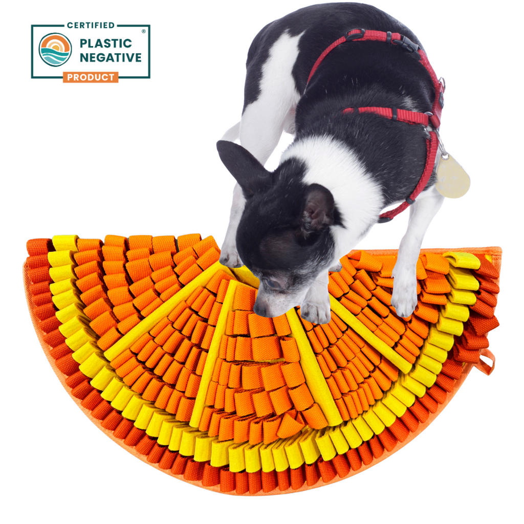 Tangy Orange™ Snuffle Mat