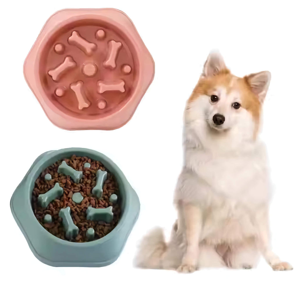 Bone Slow Feeder Bowl for Dogs